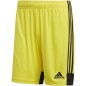 Pantaloncini Adidas Tastigo 19 M DP3249