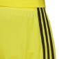 Adidas Tastigo 19 Shorts M DP3249 shorts