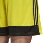 Adidas Tastigo 19 Shorts M DP3249 shorts