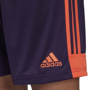 Adidas Tastigo 19 Shorts M DP3252 shorts