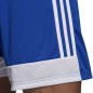 Pantaloncini Adidas Tastigo 19 M DP3682