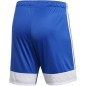 Adidas Tastigo 19 Shorts M DP3682 shorts