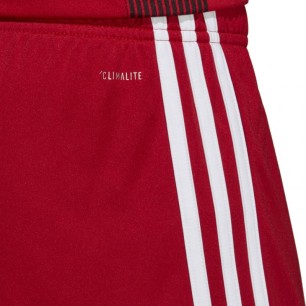 Pantaloncini Adidas Tastigo 19 M DP3681