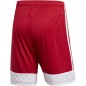 Adidas Tastigo 19 Shorts M DP3681 shorts