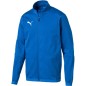 Puma Liga Training Jacket Electric M 655687 02