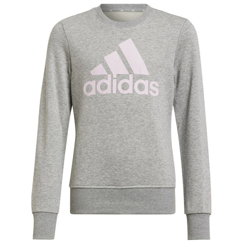 Sweatshirt adidas Big Logo Swt Jr HM8706