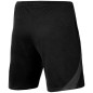 Nike NK DF Strike 22 Short KM DH8776 014 shorts