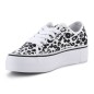 Scarpe DC Manual Platform Cheetah print AdyS300280-Che W 300280-CHE