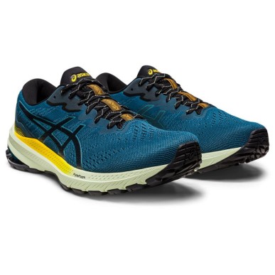 Running shoes Asics GT-1000 11 TR M 1011B573 750