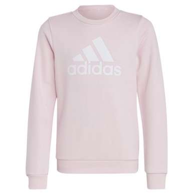 Sweatshirt adidas Big Logo Swt Jr IC6119