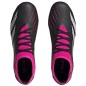 Adidas Predator Accuracy.3 FG LM GW4589 shoes