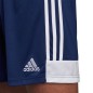 Adidas Tastigo 19 M DP3245 shorts