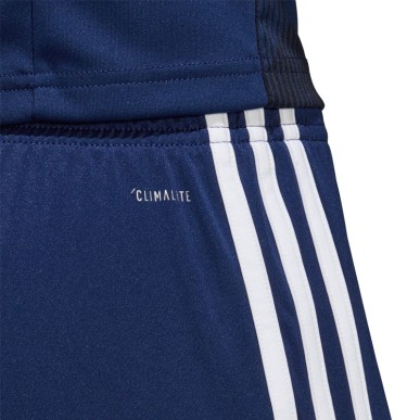 Adidas Tastigo 19 M DP3245 shorts