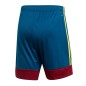 Adidas Tastigo 19 M DU4411 shorts