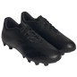 Adidas Predator Accuracy.4 FxG M GW4605 shoes