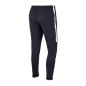 Nike Academy 19 Junior AJ9291-451 pants