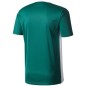 T-shirt adidas Entrada 18 Jr. CD8358