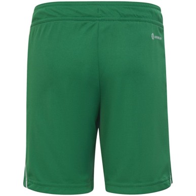 Shorts adidas Tiro 23 League Jr IB8096