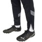 Pants Puma teamFinal Training M 657380 03