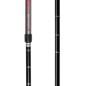 Spokey Ekvilibro GY RD 924976 trekking poles