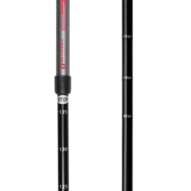 Spokey Ekvilibro GY RD 924976 trekking poles