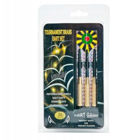 Darts Game 22g steel GT02202