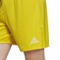 Pantaloncini adidas Entry 22 M IC7404