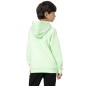 Sweatshirt 4F Jr. 4FJSS23TSWSM220 42S