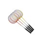 Set badminton Techman TB230