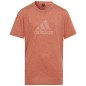 Maglietta adidas FI Big Logo Tee ragazze Jr IC0110