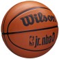 Pallone da basket Wilson NBA Jr DRV Fam Logo Ball WZ3013001XB