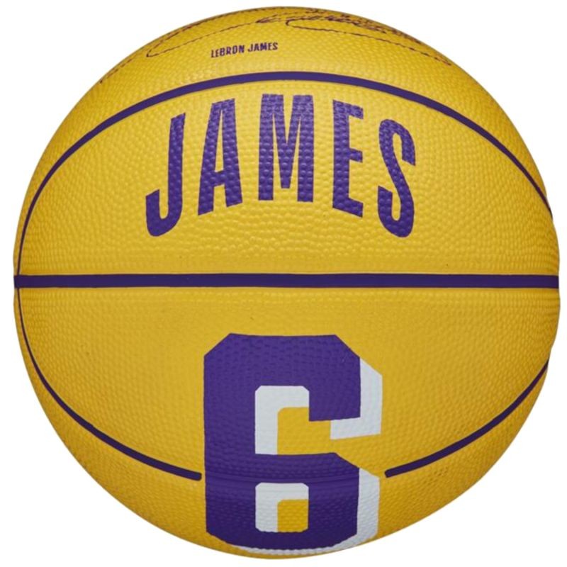 Pallone da basket Wilson NBA Player Icon LeBron James Mini Ball WZ4007201XB