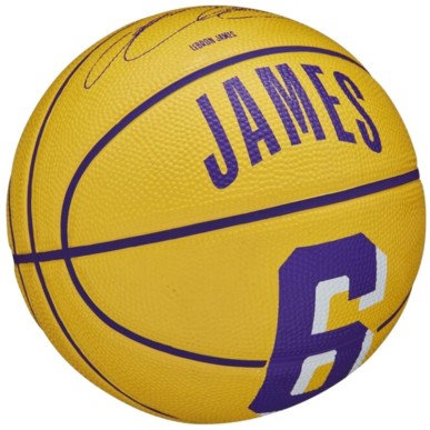 Basketball ball Wilson NBA Player Icon LeBron James Mini Ball WZ4007201XB