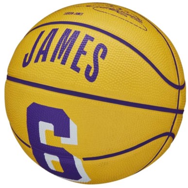 Pallone da basket Wilson NBA Player Icon LeBron James Mini Ball WZ4007201XB