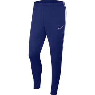 Pantaloni Nike Dri-FIT Academy M AJ9729 455