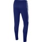 Pantaloni Nike Dri-FIT Academy M AJ9729 455