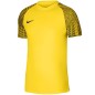 Maglietta Nike Df Academy Jsy SS Jr DH8369 719