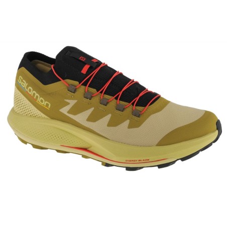 Shoes Salomon Pulsar Trail-Pro M 415936