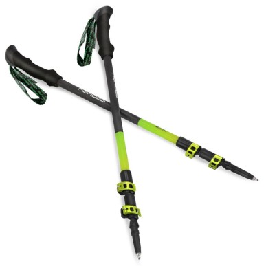 Bastoncini da trekking Spokey Carbon SPK-940975