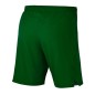 Nike Laser Woven IV Short M AJ1245-302 football shorts