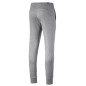 Pants Puma ESS Logo FL CL M 851753 03 gray