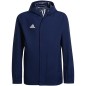 Jacket adidas Entrada 22 All-weather Jr. IK4012