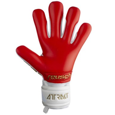 Guanti da portiere Reusch Attrakt Freegel Silver M 5370235 1011