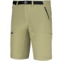 Shorts Alpinus Terminio M SU18558