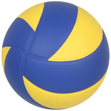 Volleyball ball NV 300 S863686