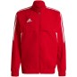 Adidas Condivo 22 Presentation M sweatshirt HA6238