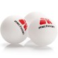 Meteor Sunrise Rollnet 15043 set da ping pong