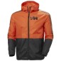 Giacca antivento Helly Hansen Active M 53442 300