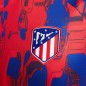 Nike Atletico Madrid Pre-Match M DX3604 613 T-Shirt