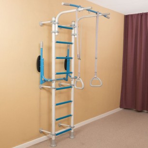 Wallbarz Gym EG-W-055 ladder